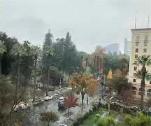 萨克拉门托国王冲刺阶段单刀错失，志在CBA季后赛名次提升，态度坚定，年轻球员得到机会的简单介绍