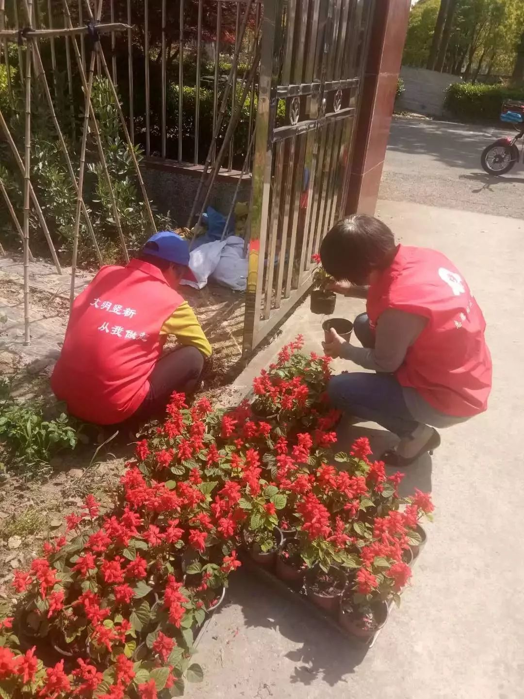 清晨武汉三镇伤情更新——荷甲节点到来，震撼外界，医务组通报恢复(武汉三镇队取得主场四连胜)-爱游戏娱乐